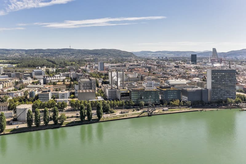 Aerial view of a city with many buildings, a river, and trees