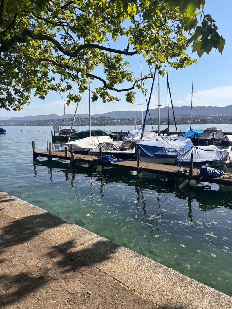 Ihr neues Headquarter am See – mit Aussicht und Full-Service (2)