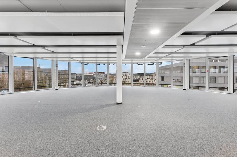 Büroflächen ab 1'000 m² - Wo Business zum Erlebnis wird (5)