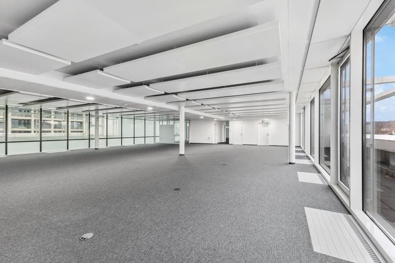 Büroflächen ab 1'000 m² - Wo Business zum Erlebnis wird (7)