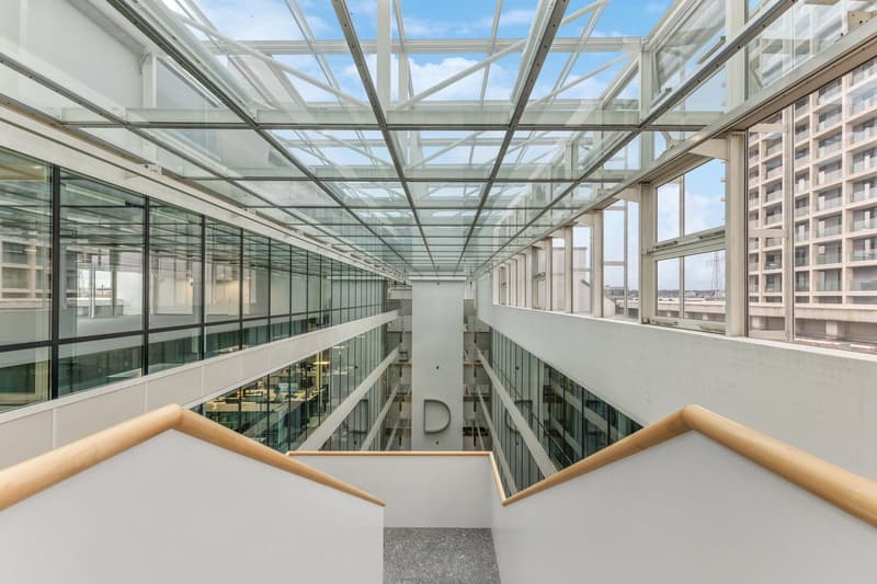 Büroflächen ab 1'000 m² - Wo Business zum Erlebnis wird (8)