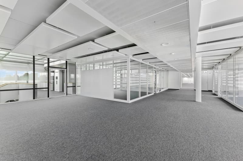 Büroflächen ab 1'000 m² - Wo Business zum Erlebnis wird (2)
