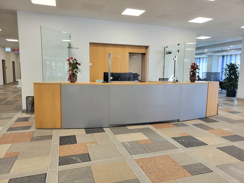 Contemporary office lobby with curved reception desk, beige wall, gray flooring, and decorative plants.
