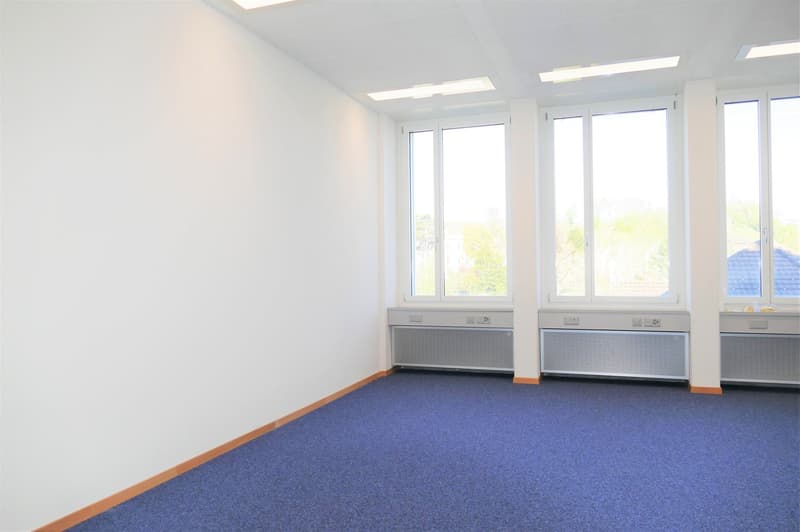 An empty room with white walls, blue carpet, three large windows with white frames, white ceiling with integrated lighting.