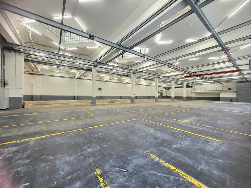 spacious car park with grey concrete floor and yellow markings, high ceilings with metal beams, fire extinguisher on the wall, windows on the side wall