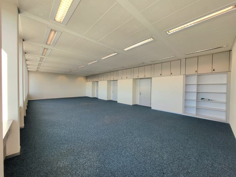 Empty room, white walls, white ceiling, white cabinets, white shelves, blue carpet, fluorescent lighting