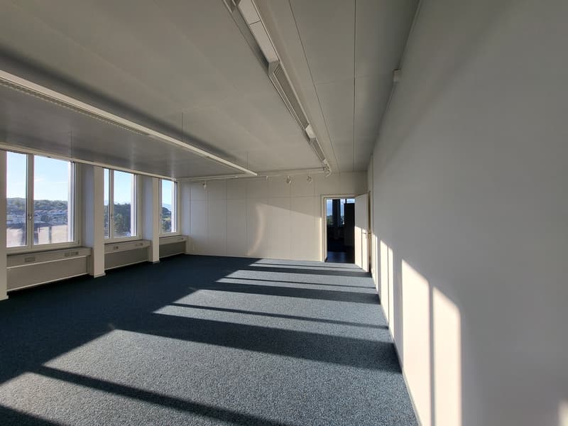 spacious room, grey carpet, white walls, multiple windows, ceiling-mounted lighting, open door at far end