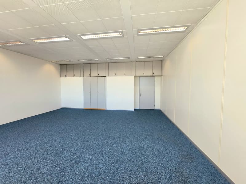 Empty room, blue carpet, white walls, white cabinets, white ceiling, two doors, and two closets