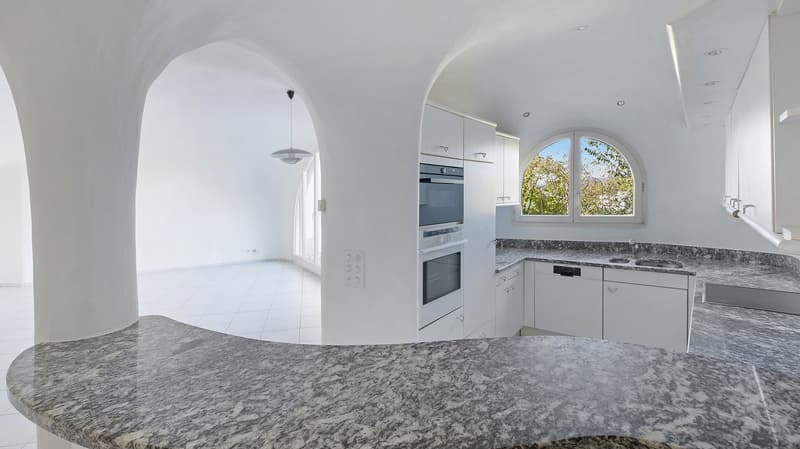 4.5 Zimmer Erdhaus - für Liebhaber aussergewöhnlicher Architektur (5)