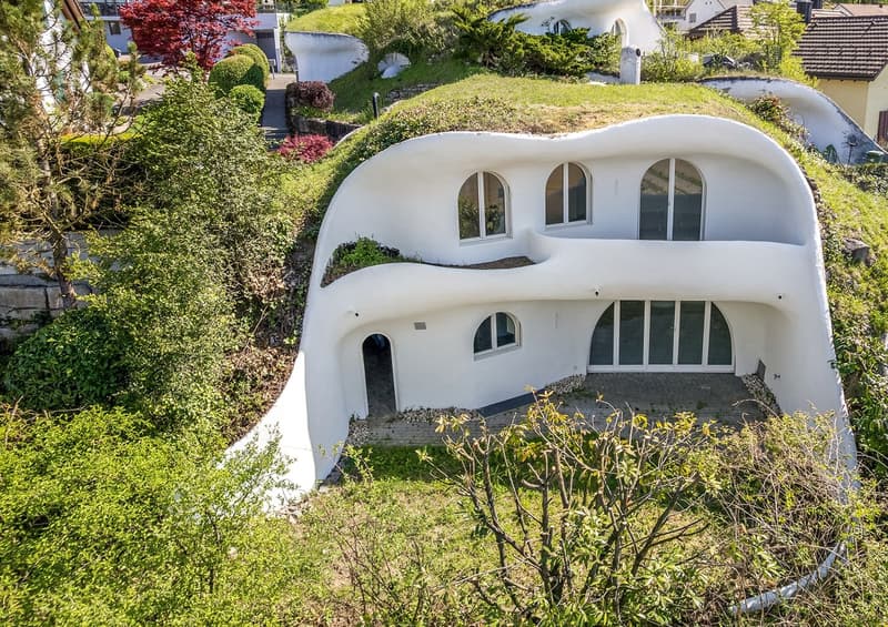 4.5 Zimmer Erdhaus - für Liebhaber aussergewöhnlicher Architektur (1)