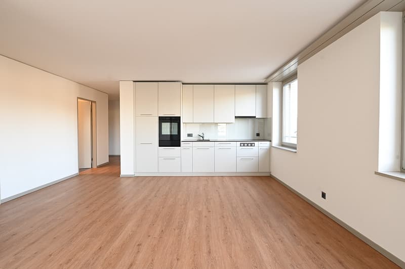 4.5 urbane Zimmer-Wohnung in Schlieren (1)
