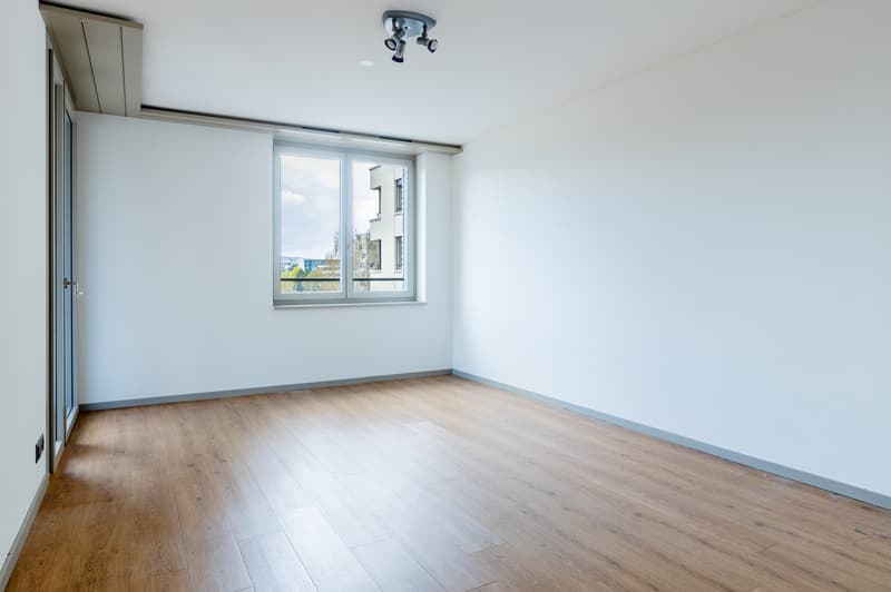 Neue 3 ½ Zimmer Wohnung an zentraler Lage (6)