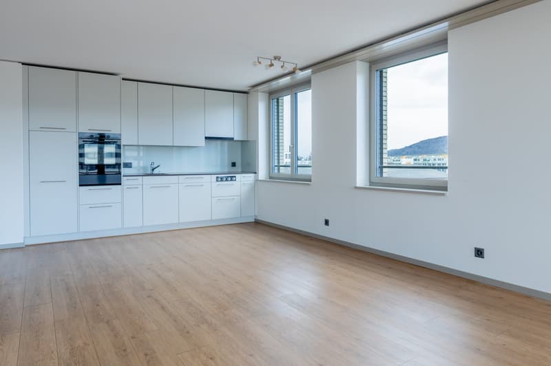 Neue 3 ½ Zimmer Wohnung an zentraler Lage (1)