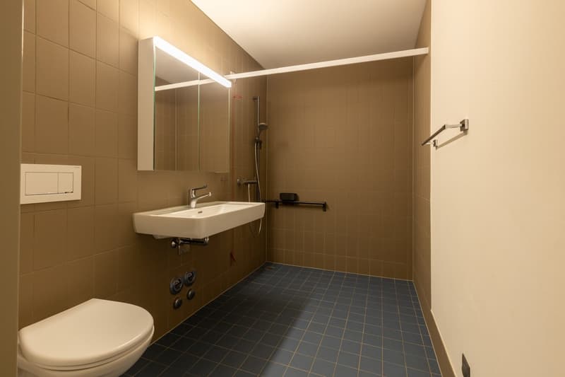 Moderne 2 ½ Zimmer an zentraler Lage (8)