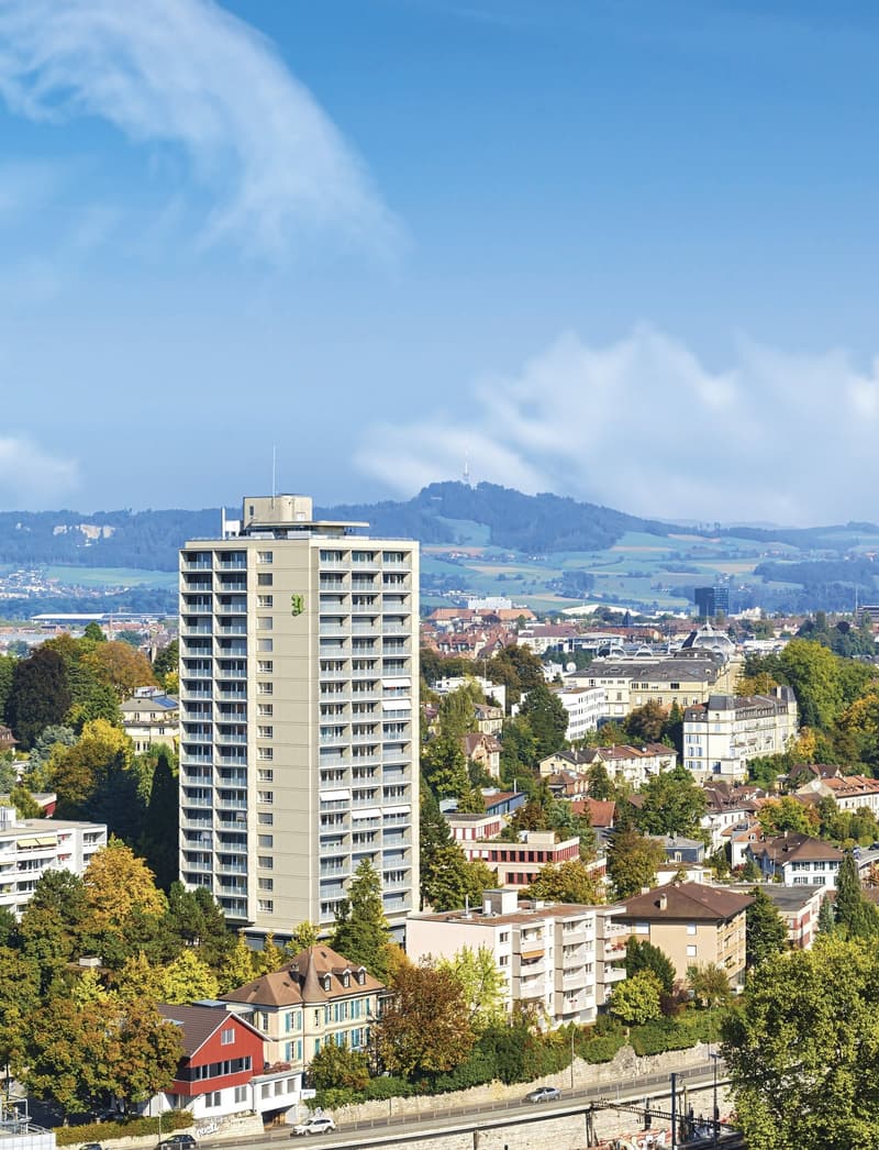 schöne, helle 1 ½ Zimmer Wohnung (1)