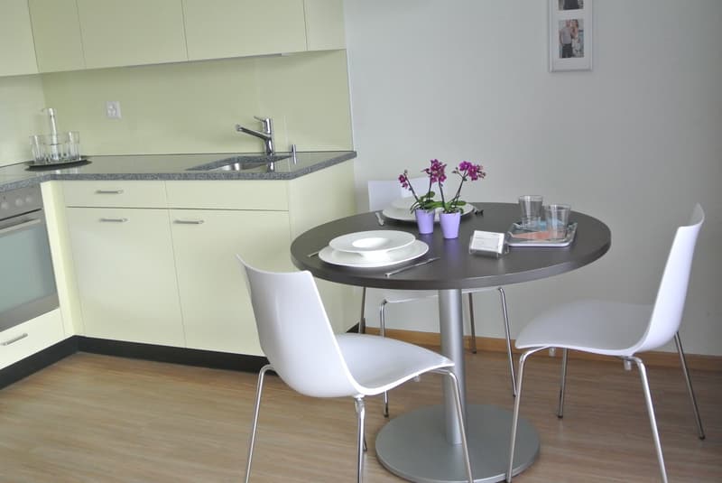 schöne, helle 1 ½ Zimmer Wohnung (5)