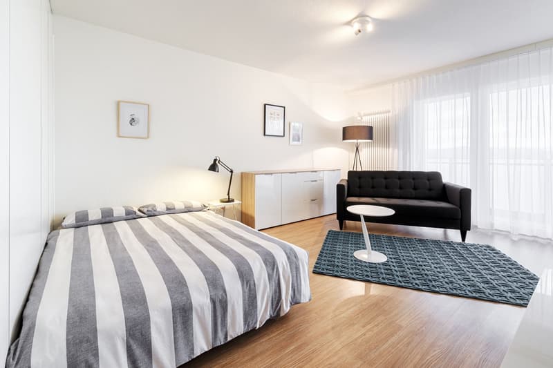 schöne, helle 1 ½ Zimmer Wohnung (2)