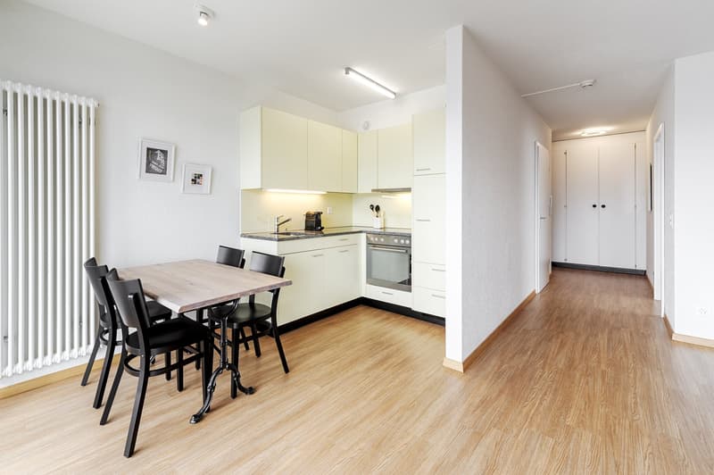 schöne, helle 1 ½ Zimmer Wohnung (3)