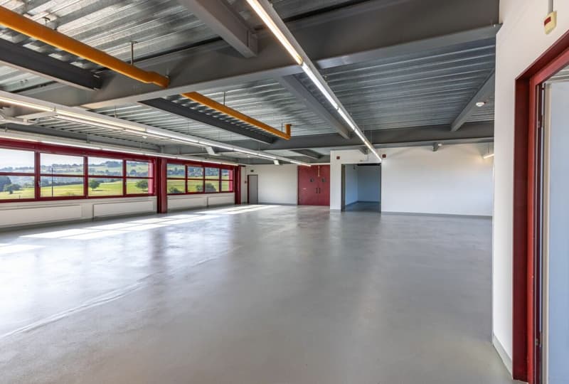 Optimal storage space: 157 m² hall on the 2nd floor with direct goods lift (2)