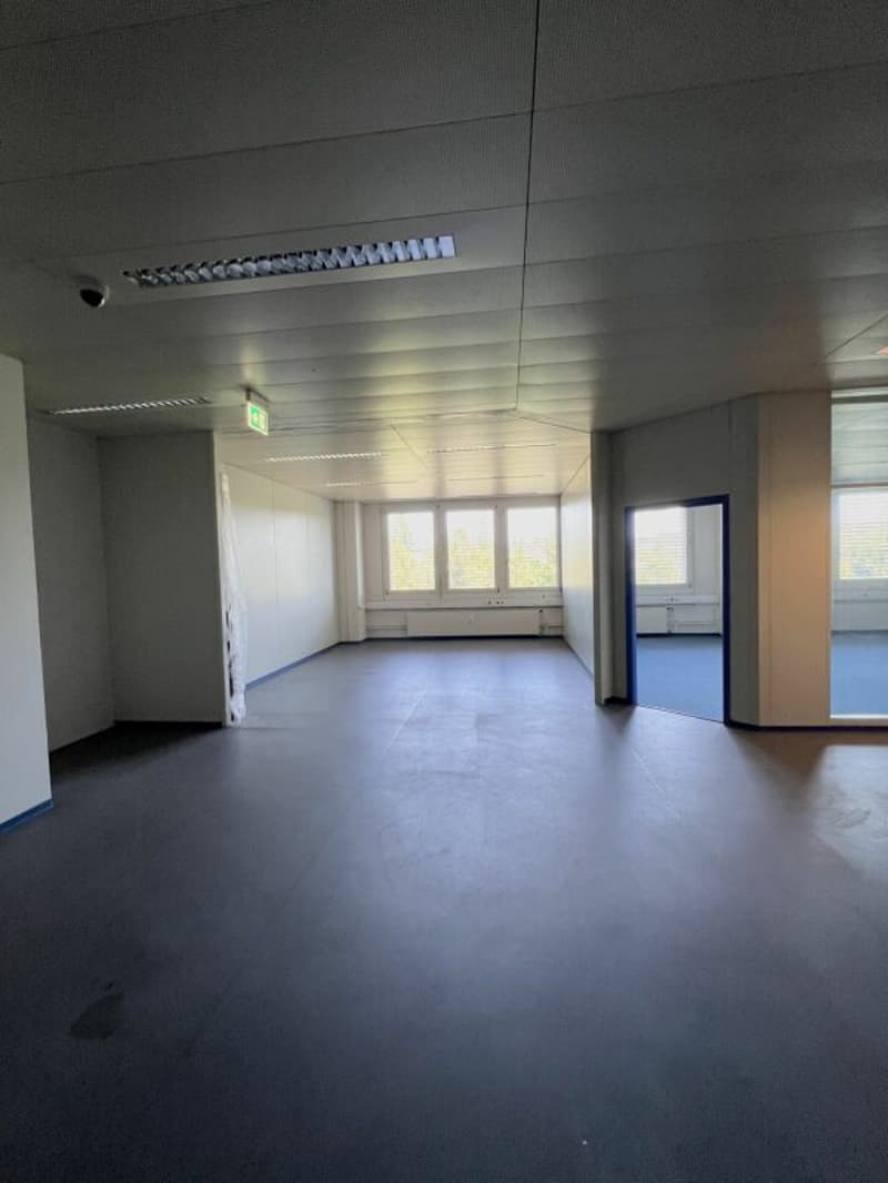 Flexible Gewerbefläche zu vermieten (7)