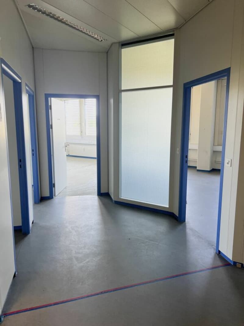 Flexible Gewerbefläche zu vermieten (5)