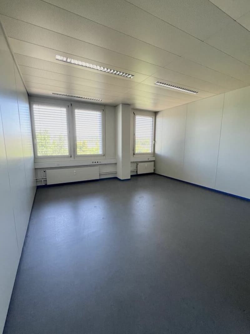 Flexible Gewerbefläche zu vermieten (3)