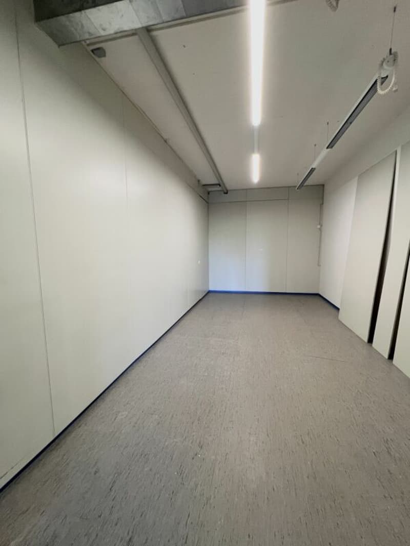 Flexible Gewerbefläche zu vermieten (8)