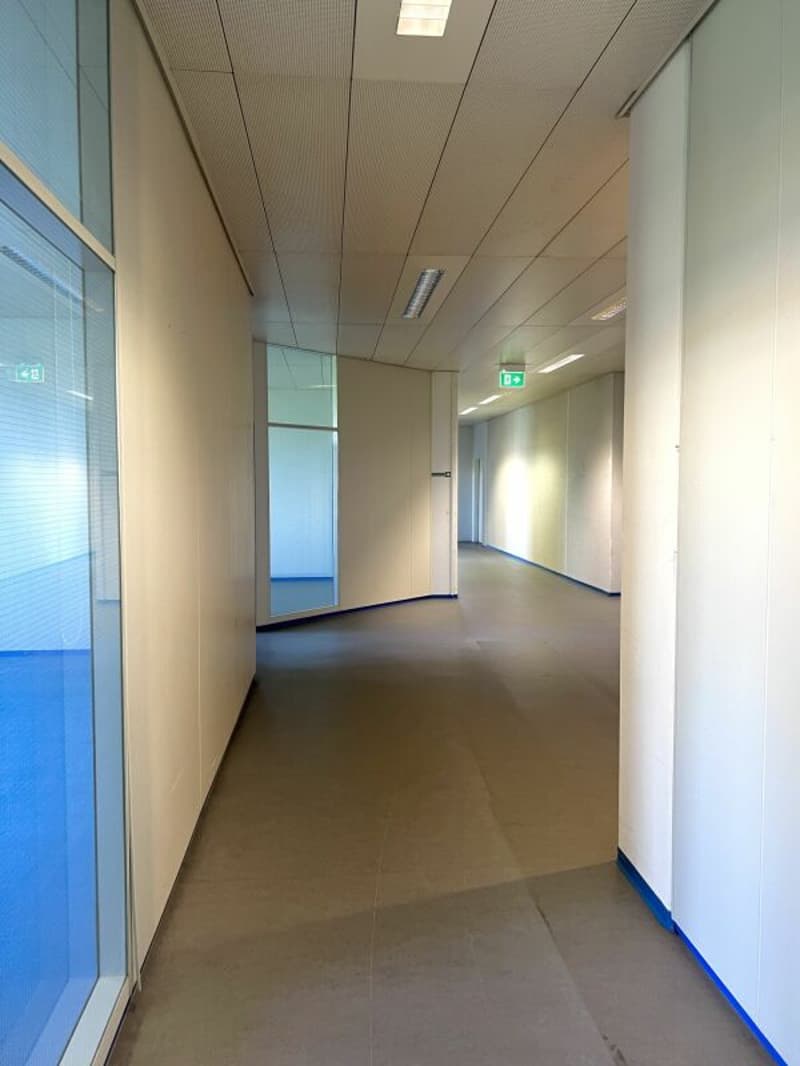 Flexible Gewerbefläche zu vermieten (10)