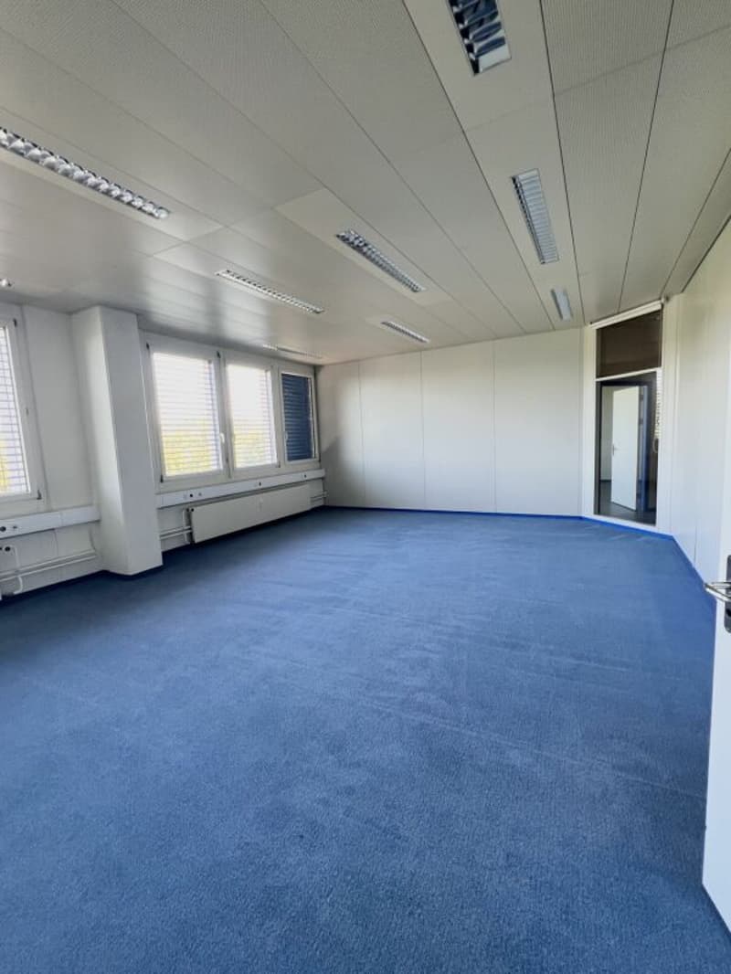Flexible Gewerbefläche zu vermieten (9)