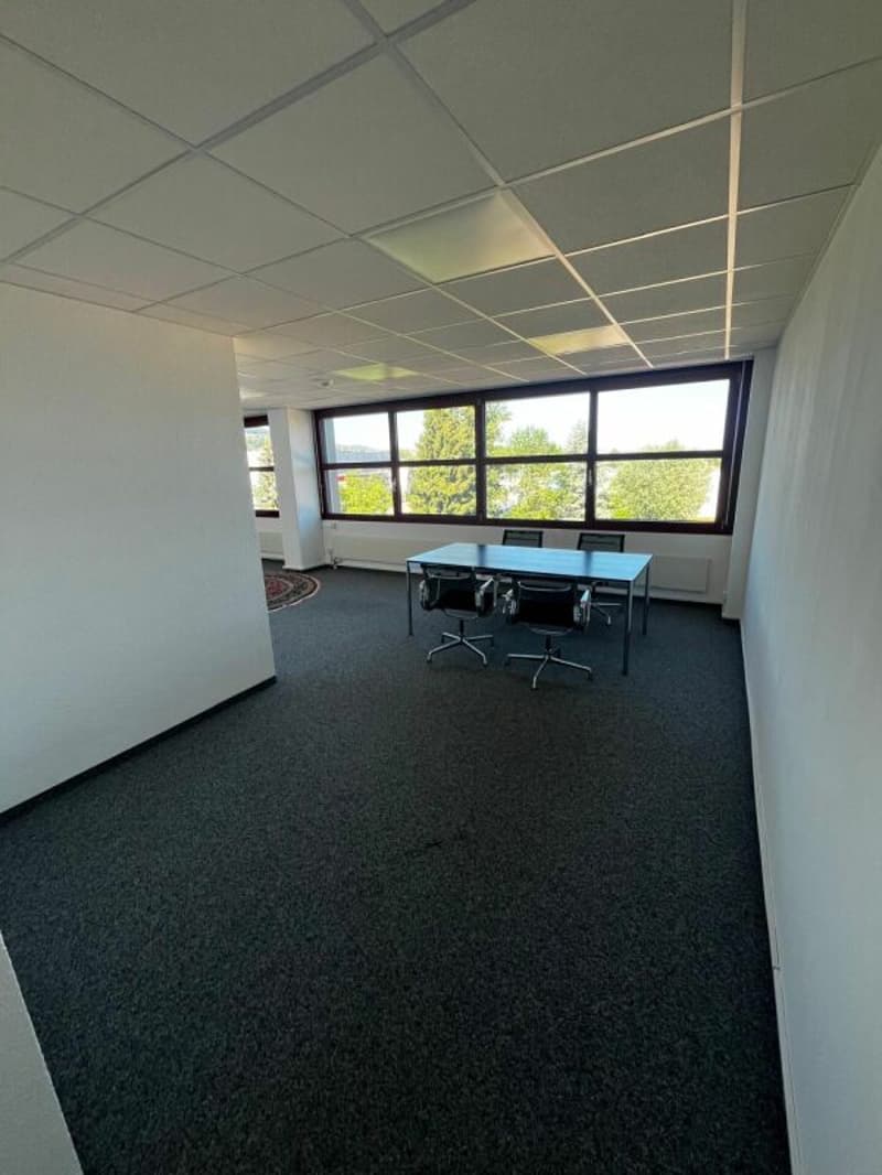61 m² Büro in Staad (3)