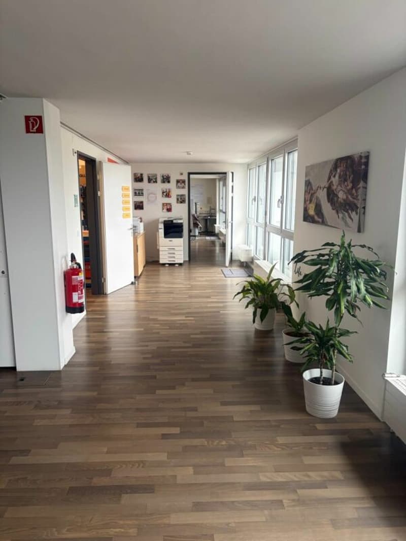 Repräsentative Bürofläche inklusive grosszügiger Dachterrasse (3)