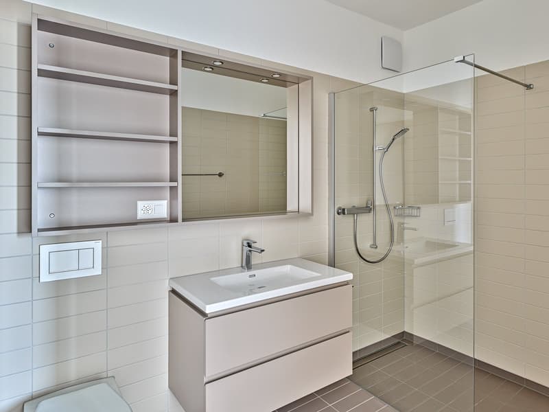 Modern bathroom with white vanity, large mirror cabinet, glass shower enclosure, and tiled walls and floor