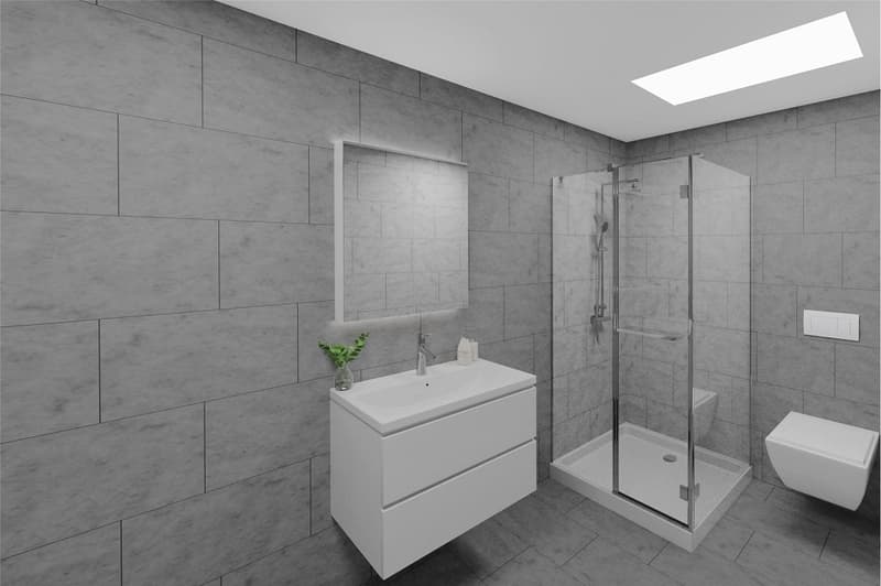 Grosse 4½-Zimmer Dachmaisonette (7)
