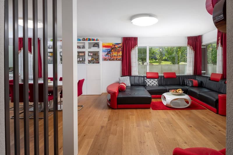 Modernes Einfamilienhaus (3)