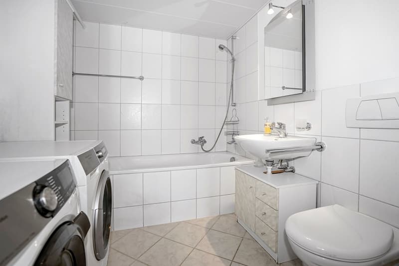 Grosse 4½- Zimmer Attika / Loft (8)