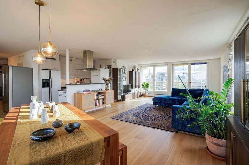 Grosse 4½- Zimmer Attika / Loft (2)