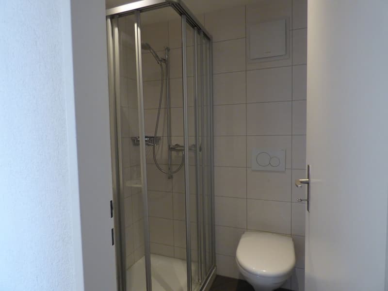Grosszügige 4.5-Zimmer-Wohnung mit Balkon und Weitblick in Rüti ZH (10)
