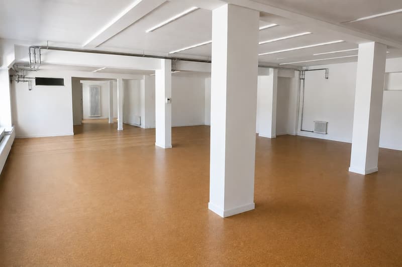 LOFT-APPARTEMENT, charmant espace de vie et de travail / Première location dans un bâtiment historique à Elsau (3)