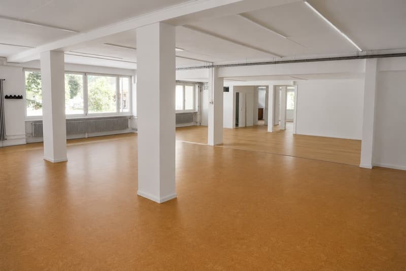 LOFT-APPARTEMENT, charmant espace de vie et de travail / Première location dans un bâtiment historique à Elsau (4)