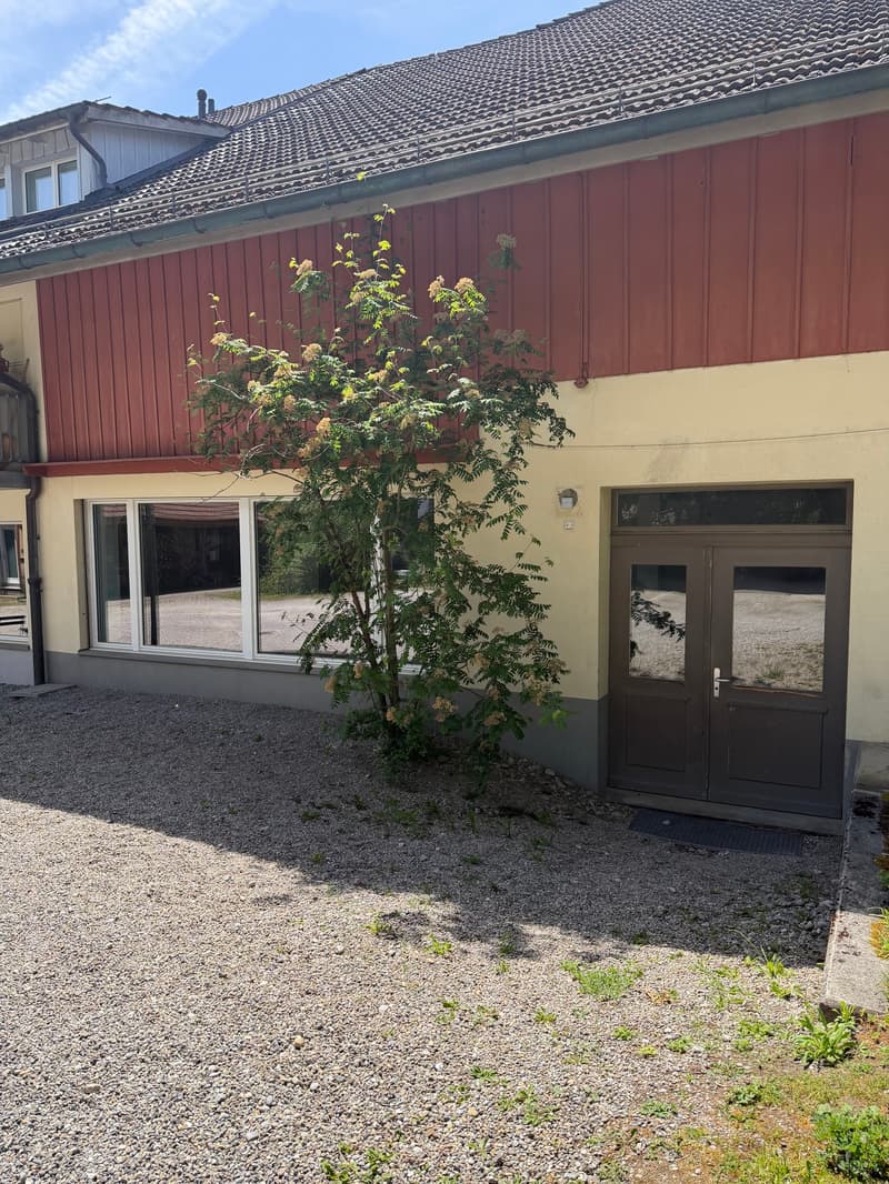 LOFT-APPARTEMENT, charmant espace de vie et de travail / Première location dans un bâtiment historique à Elsau (12)