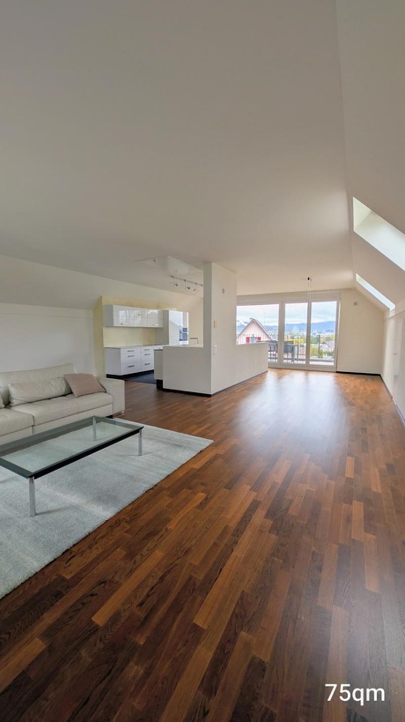 Grosszügige 5.5-Zimmer-Dach-Maisonettewohnung mit Balkon und Stadtblick in Opfikon (4)
