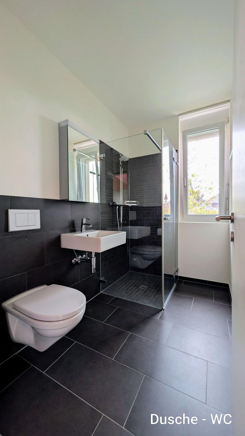 Grosszügige 5.5-Zimmer-Dach-Maisonettewohnung mit Balkon und Stadtblick in Opfikon (10)