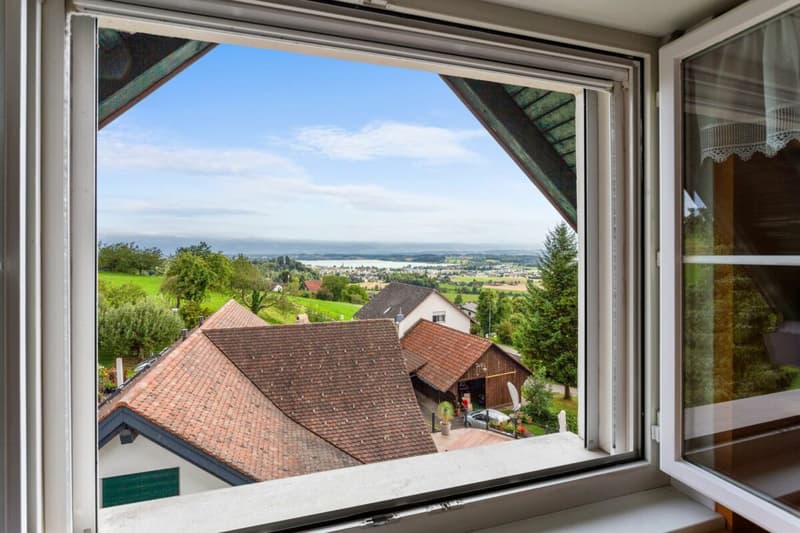 Renovierte Maisonette im Grünen mit Aussicht auf den Pfäffikersee und die Alpen (7)