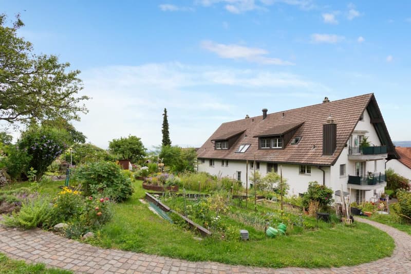 Renovierte Maisonette im Grünen mit Aussicht auf den Pfäffikersee und die Alpen (2)