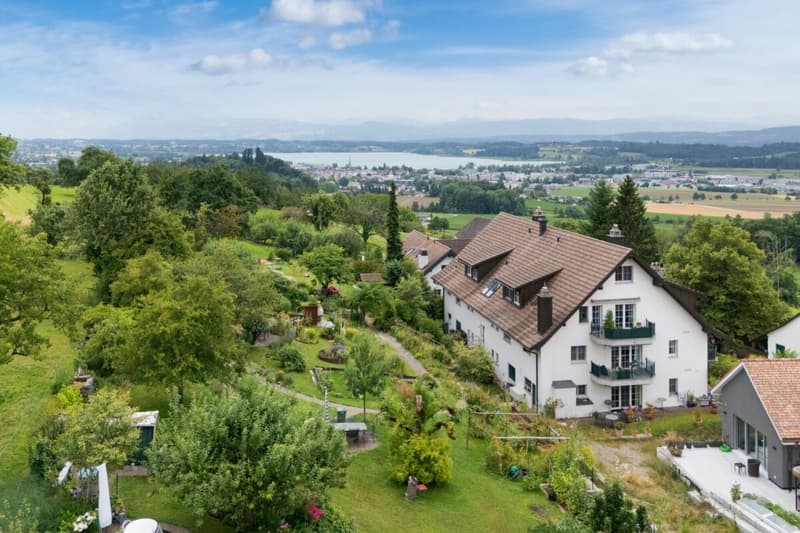 Renovierte Maisonette im Grünen mit Aussicht auf den Pfäffikersee und die Alpen (3)