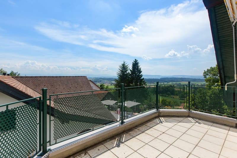 Renovierte Maisonette im Grünen mit Aussicht auf den Pfäffikersee und die Alpen (6)