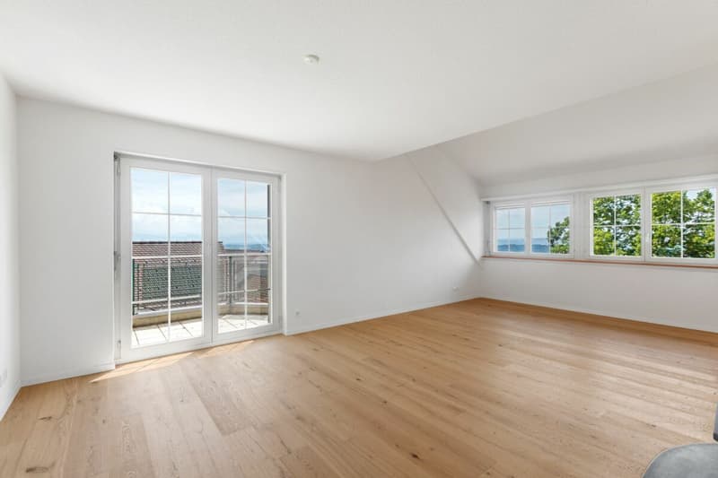 Renovierte Maisonette im Grünen mit Aussicht auf den Pfäffikersee und die Alpen (5)