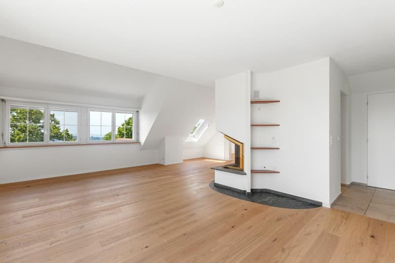 Renovierte Maisonette im Grünen mit Aussicht auf den Pfäffikersee und die Alpen (10)