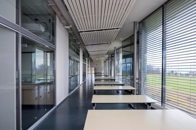 Spacious office corridor with large windows providing a view of the outdoor landscape, black flooring, white tables and chairs, glass walls and doors, and a suspended ceiling with linear lighting fixtures.