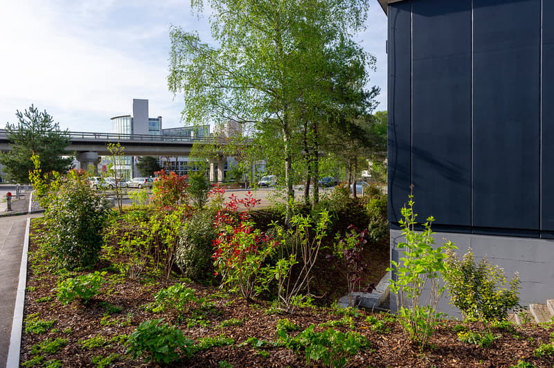 The image shows an outdoor garden area with various plants, shrubs, and trees. There is a black building in the background and a bridge or overpass visible in the distance. The garden appears to be well-maintained with a mix of green foliage and some red/